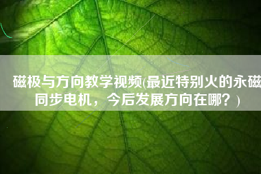 磁极与方向教学视频(最近特别火的永磁同步电机，今后发展方向在哪？)