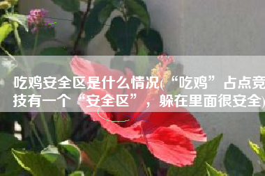 吃鸡安全区是什么情况(“吃鸡”占点竞技有一个“安全区”，躲在里面很安全)