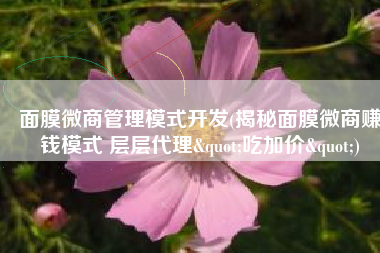 面膜微商管理模式开发(揭秘面膜微商赚钱模式 层层代理"吃加价")