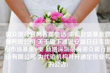微众银行官网客服电话(浦银安盛基金管理有限公司 关于旗下浦银安盛日日丰货币市场基金D类 新增深圳前海微众银行股份有限公司 为代销机构并开通定投业务的公告)