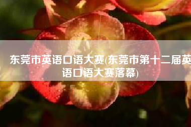 东莞市英语口语大赛(东莞市第十二届英语口语大赛落幕)