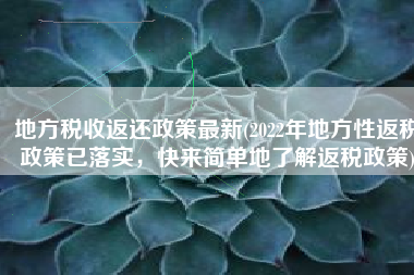 地方税收返还政策最新(2022年地方性返税政策已落实，快来简单地了解返税政策)