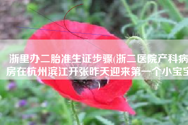 浙里办二胎准生证步骤(浙二医院产科病房在杭州滨江开张昨天迎来第一个小宝宝)
