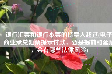 银行汇票和银行本票的持票人超过(电子商业承兑汇票提示付款，要是提前和延后，会有哪些法律风险)
