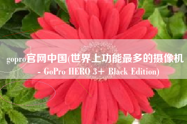 gopro官网中国(世界上功能最多的摄像机 -- GoPro HERO 3+ Black Edition)