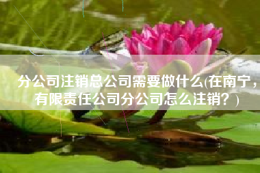 分公司注销总公司需要做什么(在南宁，有限责任公司分公司怎么注销？)