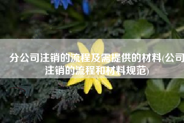 分公司注销的流程及需提供的材料(公司注销的流程和材料规范)