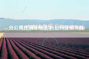 分公司注销证明范本(公司注销流程)