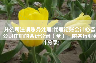 分公司注销账务处理(代理记账会计必备：公司注销的会计分录（全），附各行业会计分录)