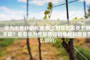 华为出差补助标准(员工想在差旅费上做手脚？看看华为差旅费报销流程制度是怎么做的)