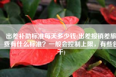 出差补助标准每天多少钱(出差报销差旅费有什么标准？一般会控制上限，有些包干)