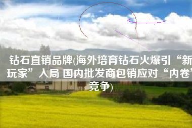 钻石直销品牌(海外培育钻石火爆引“新玩家”入局 国内批发商包销应对“内卷”竞争)