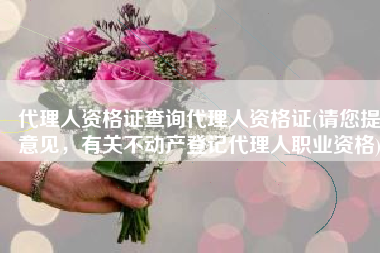 代理人资格证查询代理人资格证(请您提意见，有关不动产登记代理人职业资格)