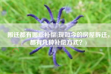 搬迁都有哪些补偿(现如今的房屋拆迁，都有几种补偿方式？)