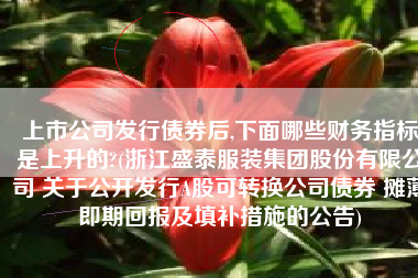 上市公司发行债券后,下面哪些财务指标是上升的?(浙江盛泰服装集团股份有限公司 关于公开发行A股可转换公司债券 摊薄即期回报及填补措施的公告)