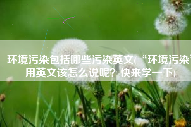 环境污染包括哪些污染英文(“环境污染”用英文该怎么说呢？快来学一下)