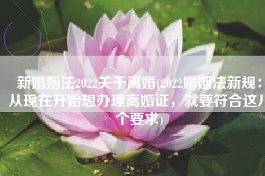 新婚姻法2022关于离婚(2022婚姻法新规：从现在开始想办理离婚证，就要符合这八个要求)