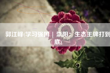 郭江峰(学习强国 | 崇阳：生态王牌打到底)