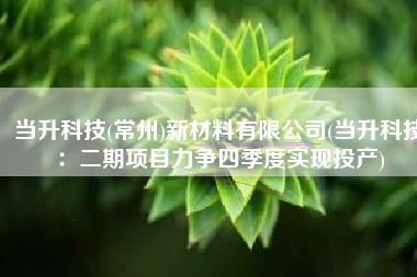 当升科技(常州)新材料有限公司(当升科技：二期项目力争四季度实现投产)