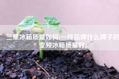 三星冰箱质量如何(一线品牌什么牌子的变频冰箱质量好)