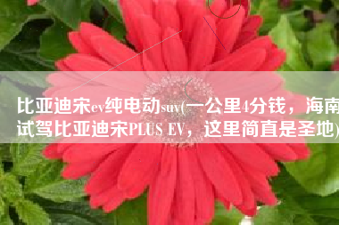 比亚迪宋ev纯电动suv(一公里4分钱，海南试驾比亚迪宋PLUS EV，这里简直是圣地)