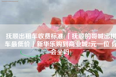 抚顺出租车收费标准(「抚顺的哥喊出拼车最低价」新华乐购到商业城2元一位 你会坐吗)