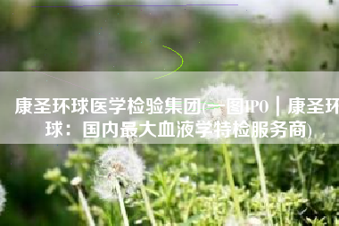 康圣环球医学检验集团(一图IPO｜康圣环球：国内最大血液学特检服务商)