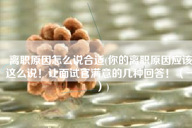 离职原因怎么说合适(你的离职原因应该这么说！让面试官满意的几种回答！（一）)