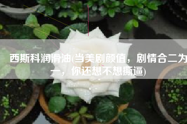 西斯科润滑油(当美剧颜值，剧情合二为一，你还想不想撕逼)