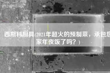 西斯科厨具(2021年超火的预制菜，承包您家年夜饭了吗？)