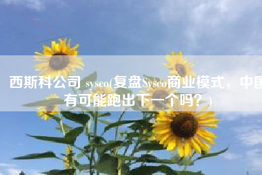 西斯科公司 sysco(复盘Sysco商业模式，中国有可能跑出下一个吗？)