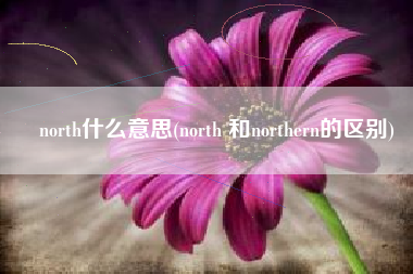 north什么意思(north 和northern的区别)
