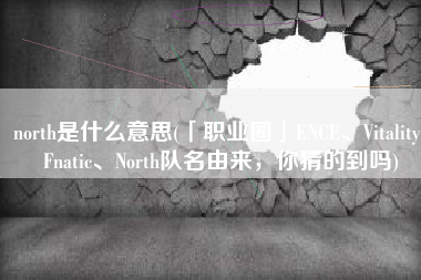 north是什么意思(「职业圈」ENCE、Vitality、Fnatic、North队名由来，你猜的到吗)