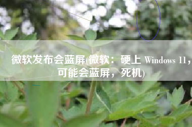 微软发布会蓝屏(微软：硬上 Windows 11，可能会蓝屏，死机)