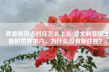 弗雷斯贝古村庄怎么上去(澳大利亚国土面积世界第六，为什么没有原住民？)