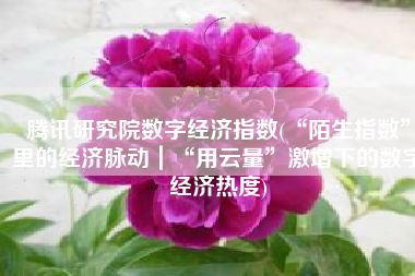 腾讯研究院数字经济指数(“陌生指数”里的经济脉动｜“用云量”激增下的数字经济热度)