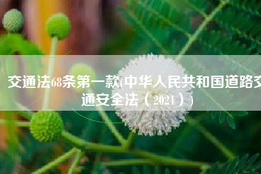 交通法68条第一款(中华人民共和国道路交通安全法（2021）)