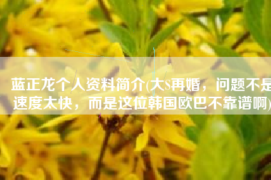 蓝正龙个人资料简介(大S再婚，问题不是速度太快，而是这位韩国欧巴不靠谱啊)