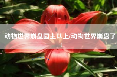 动物世界崩盘园主以上(动物世界崩盘了，)