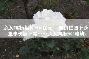 游族网络(借款19.01亿元、 股价拦腰下跌、董事长被下毒……游族网络2020渡劫)