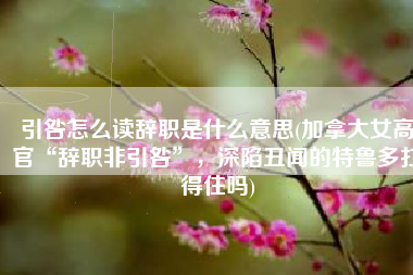 引咎怎么读辞职是什么意思(加拿大女高官“辞职非引咎”，深陷丑闻的特鲁多扛得住吗)