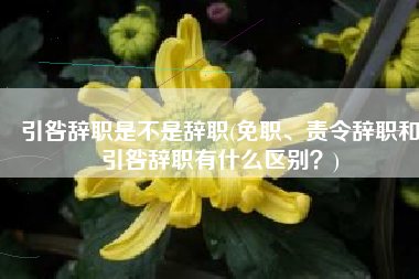 引咎辞职是不是辞职(免职、责令辞职和引咎辞职有什么区别？)