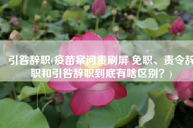 引咎辞职(疫苗案问责刷屏 免职、责令辞职和引咎辞职到底有啥区别？)