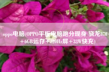 oppo电脑(OPPO平板电脑跑分现身 骁龙870++6GB运存+120Hz屏+33W快充)