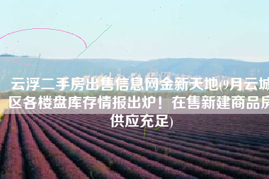 云浮二手房出售信息网金新天地(9月云城区各楼盘库存情报出炉！在售新建商品房供应充足)