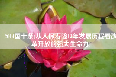 2014国十条(从人保寿险13年发展历程看改革开放的强大生命力)