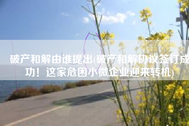 破产和解由谁提出(破产和解协议签订成功！这家危困小微企业迎来转机)