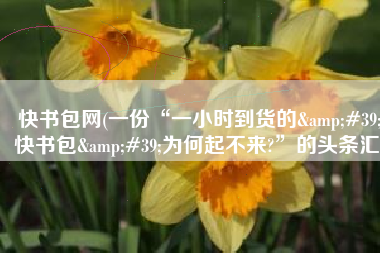 快书包网(一份“一小时到货的'快书包'为何起不来?”的头条汇)