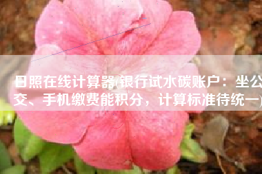 日照在线计算器(银行试水碳账户：坐公交、手机缴费能积分，计算标准待统一)