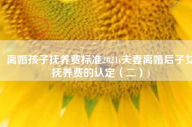 离婚孩子抚养费标准2021(夫妻离婚后子女抚养费的认定（二）)